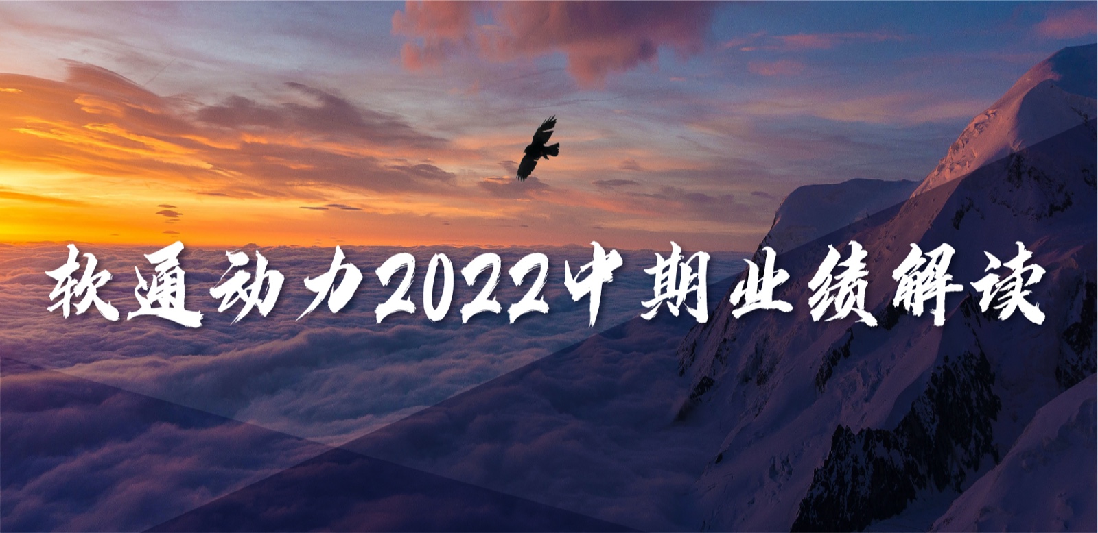 ƹʹapp2022ҵʵΪӪȹһŻӪҵṹ